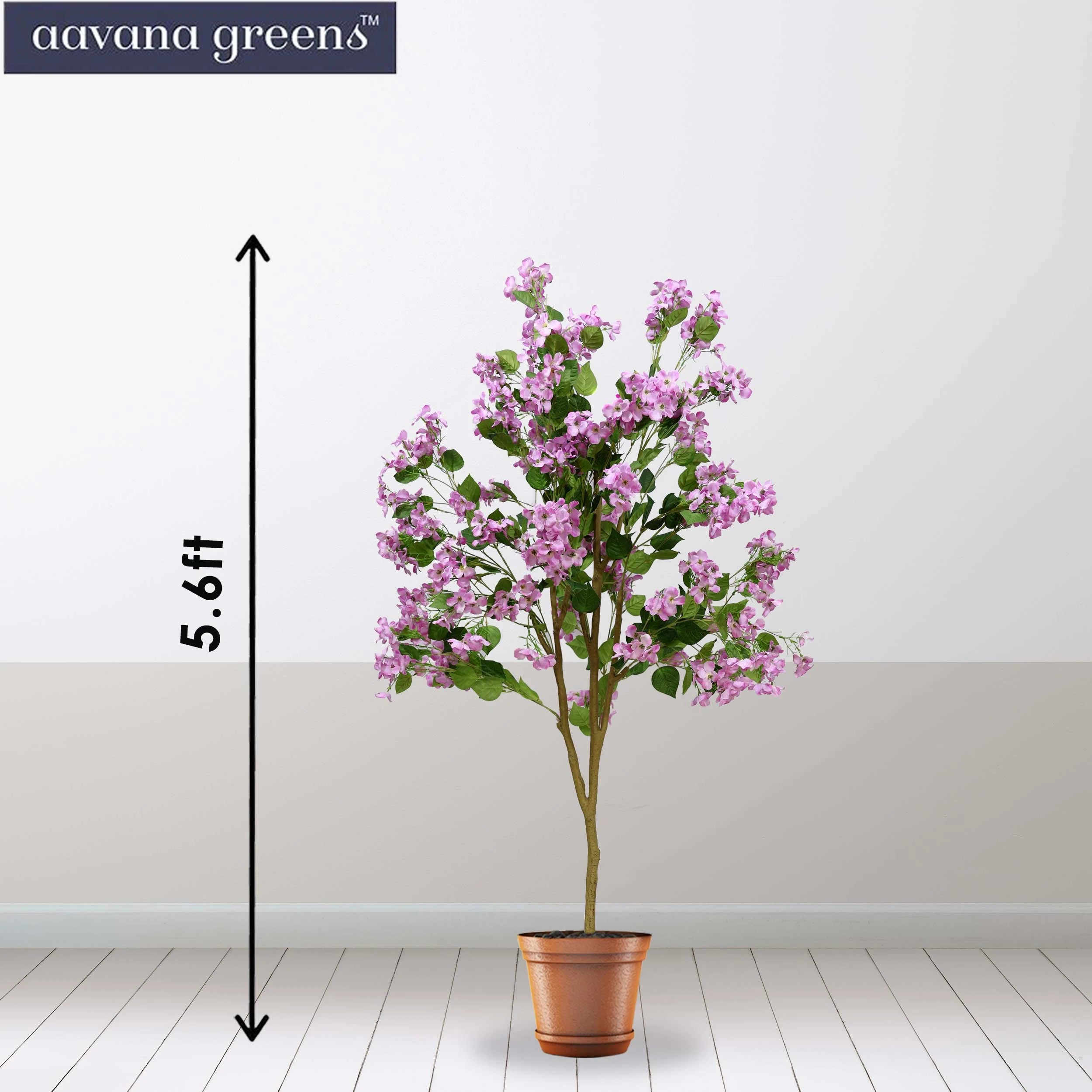 Aavana Greens 5.6 Feet Morning Glory Flower Artificial Plants Pack Of 1