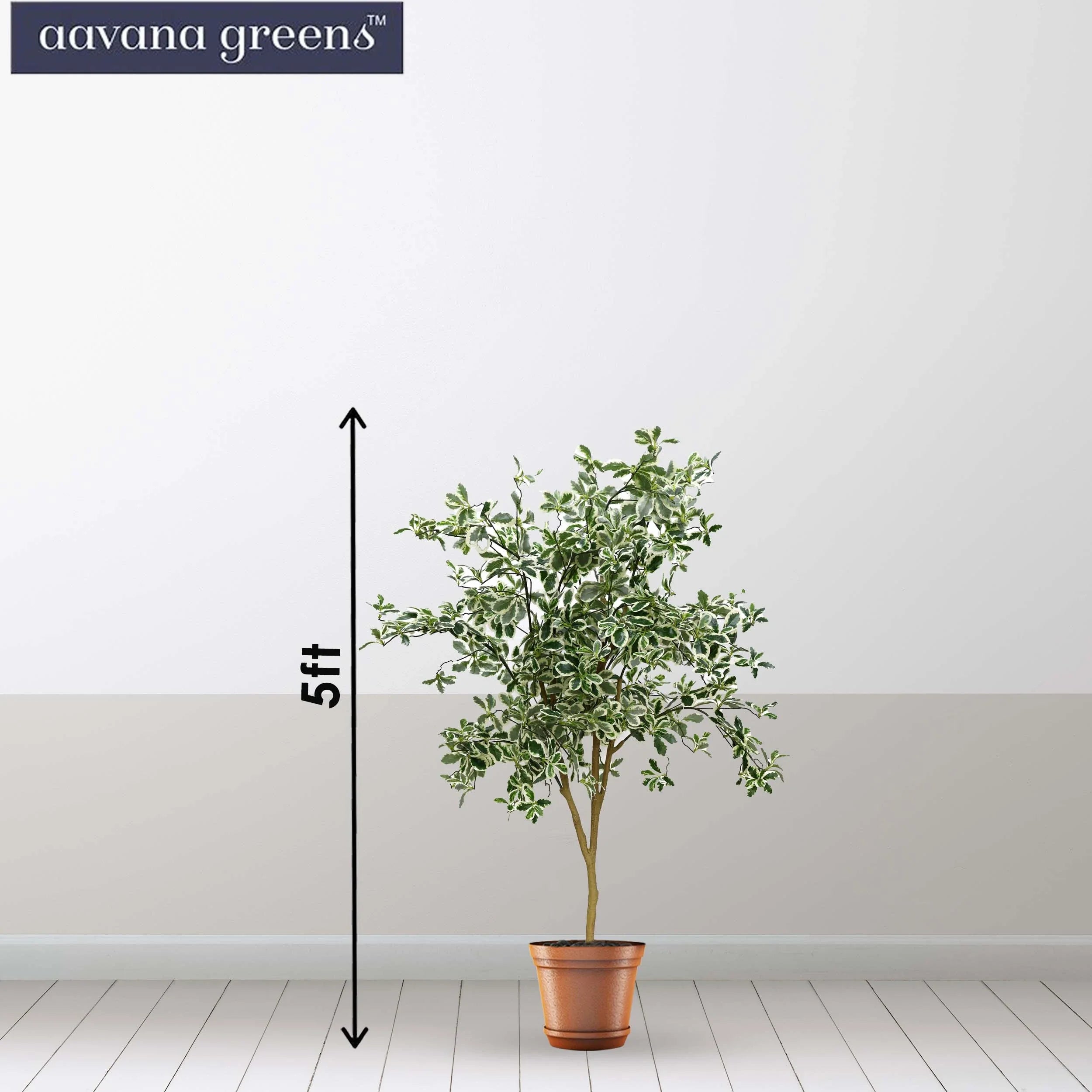 Aavana Greens 5 Feet Baby Ficus Artificial Plants Pack Of 1
