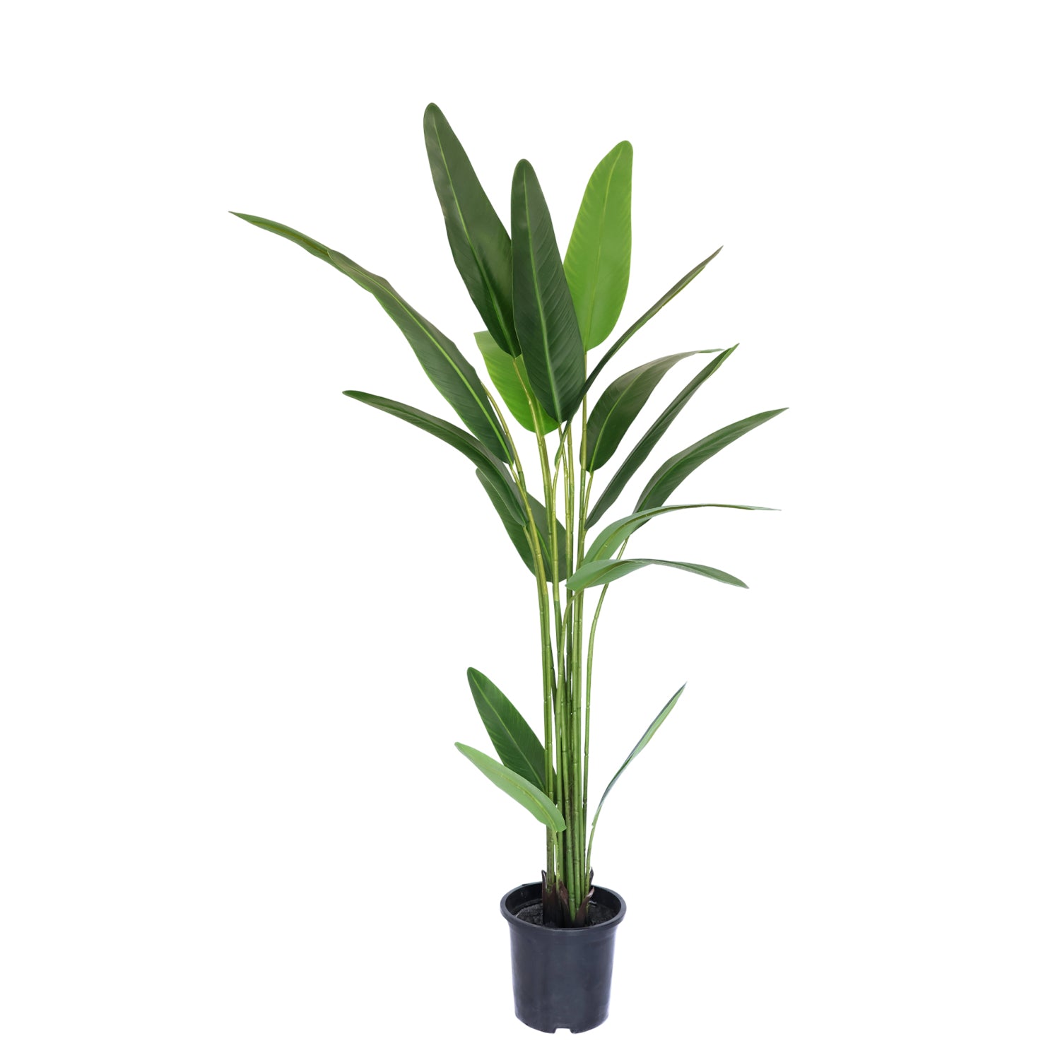 4.11 Feet (125 CM) Artificial Bamboo Plant for Indoor and Outdoor, Home, Shop, Office, Restaurant Decoration Dark Green (Pack of 1)