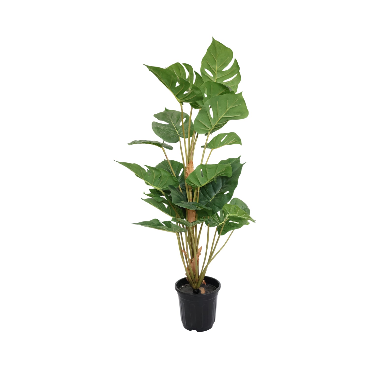 3 Feet (90 CM) Artificial Plant for Indoor and Outdoor, Home, Shop, Office, Restaurant Decoration Dark Green (Pack of 1)