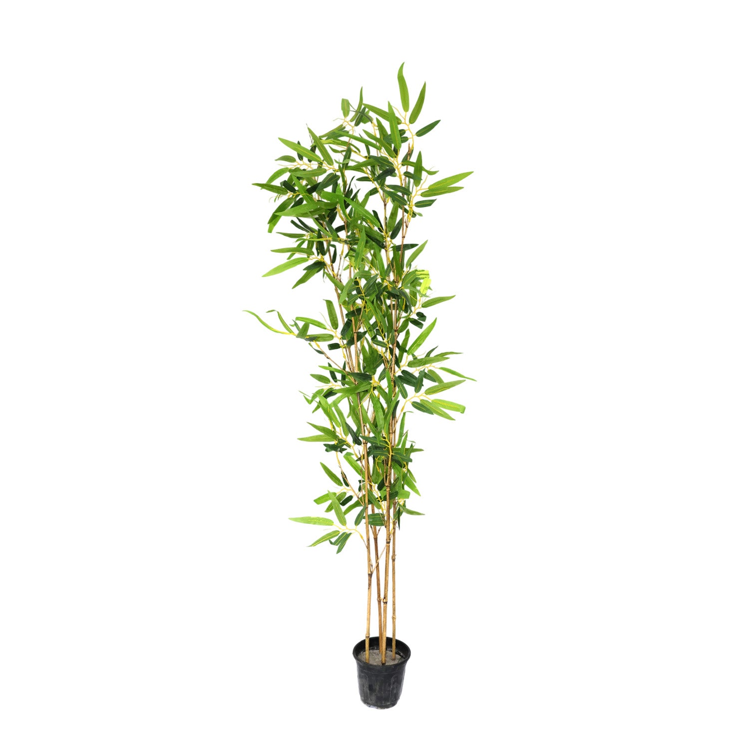 5.2 Feet (156 CM) Artificial Bamboo Plant for Indoor and Outdoor, Home, Shop, Office, Restaurant Decoration Dark Green (Pack of 1)