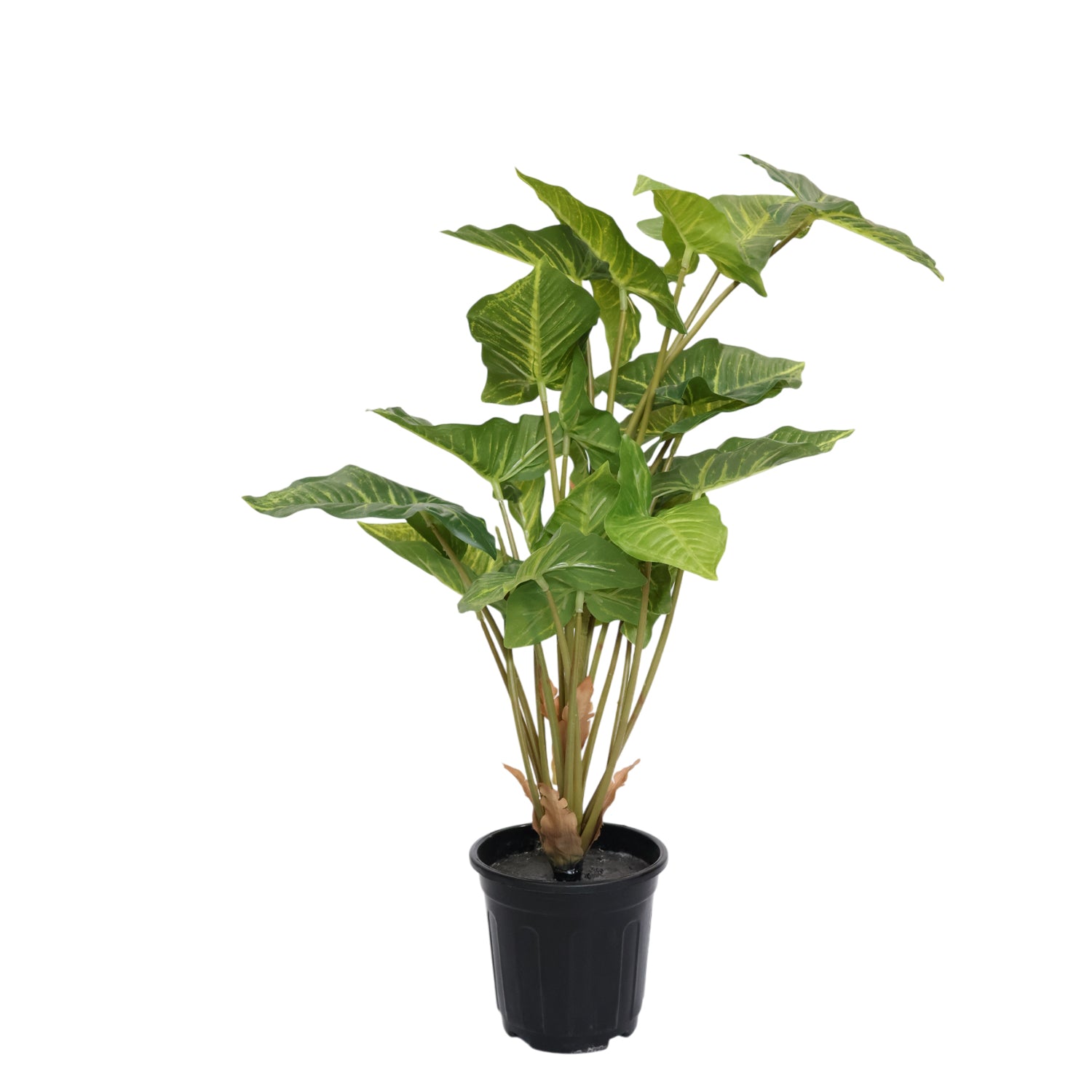 2.5 Feet (75 CM) Artificial Plant for Indoor and Outdoor, Home, Shop, Office, Restaurant Decoration Dark Green (Pack of 1)