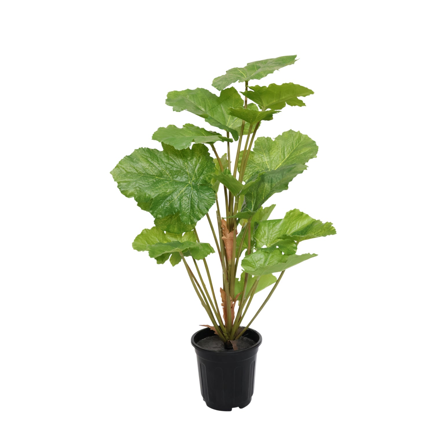 2.5 Feet (75 CM) Artificial Plant for Indoor and Outdoor, Home, Shop, Office, Restaurant Decoration Dark Green (Pack of 1)