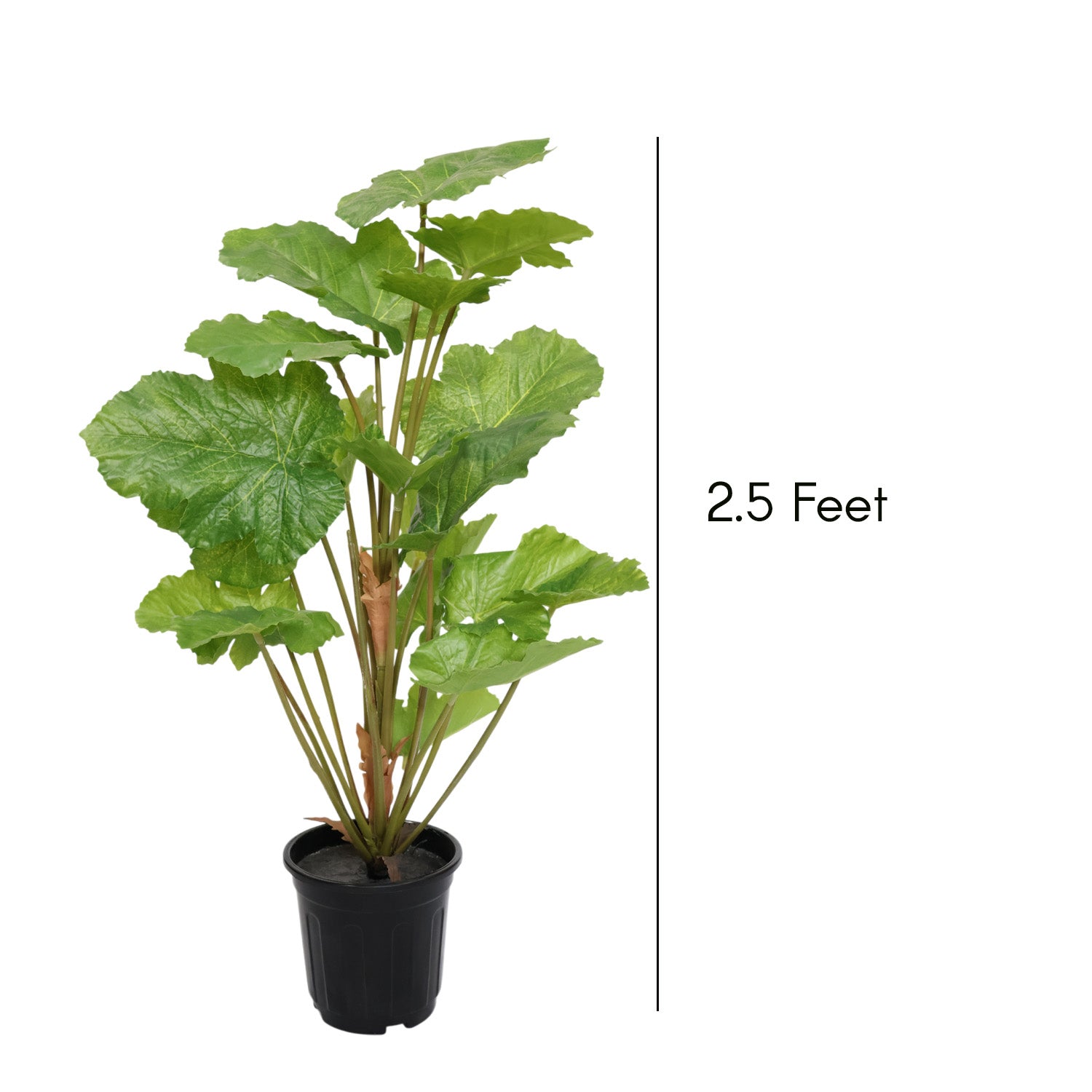 2.5 Feet (75 CM) Artificial Plant for Indoor and Outdoor, Home, Shop, Office, Restaurant Decoration Dark Green (Pack of 1)