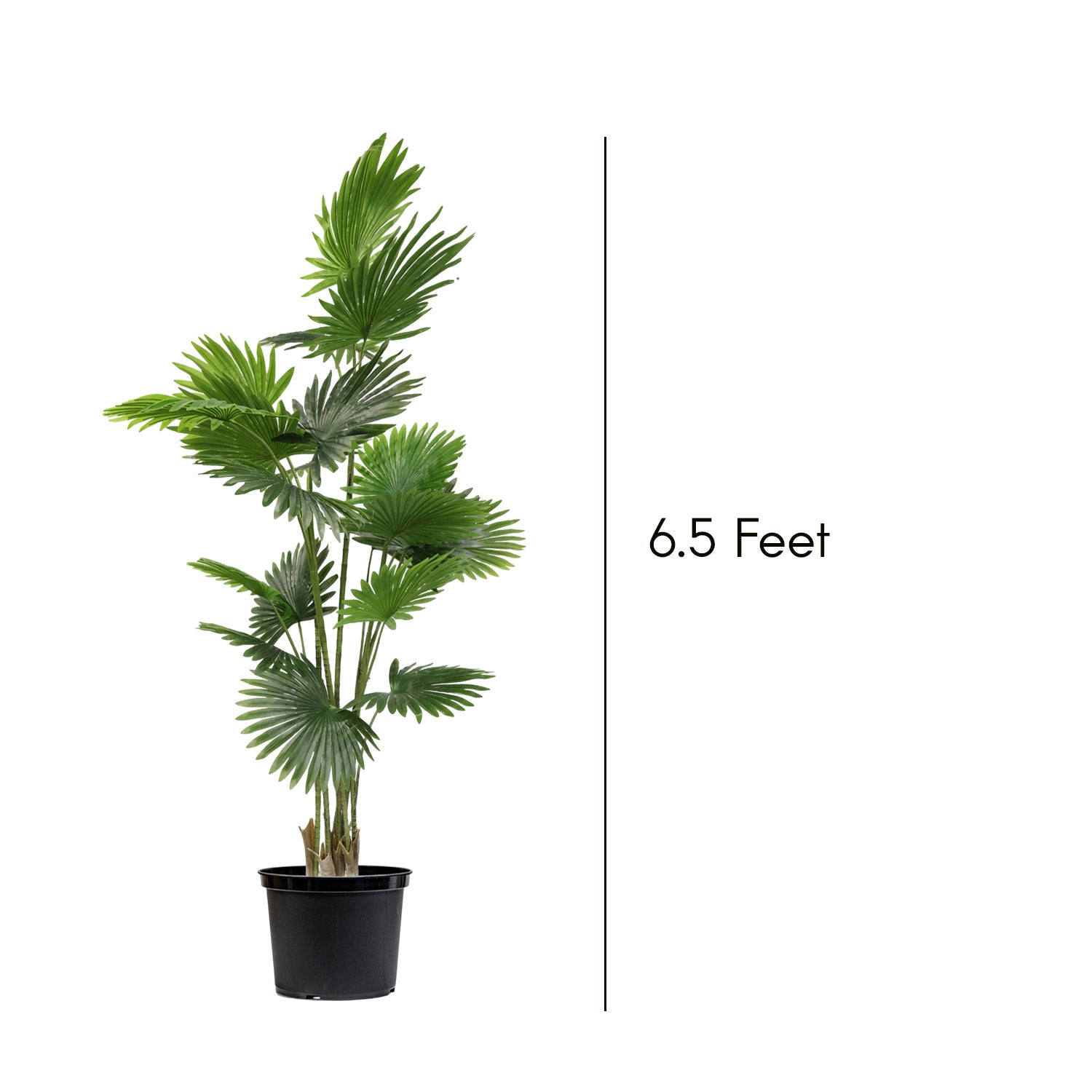 6.5 Feet (195 CM) Artificial Bamboo Plant for Indoor and Outdoor, Home, Shop, Office, Restaurant Decoration Dark Green (Pack of 1)