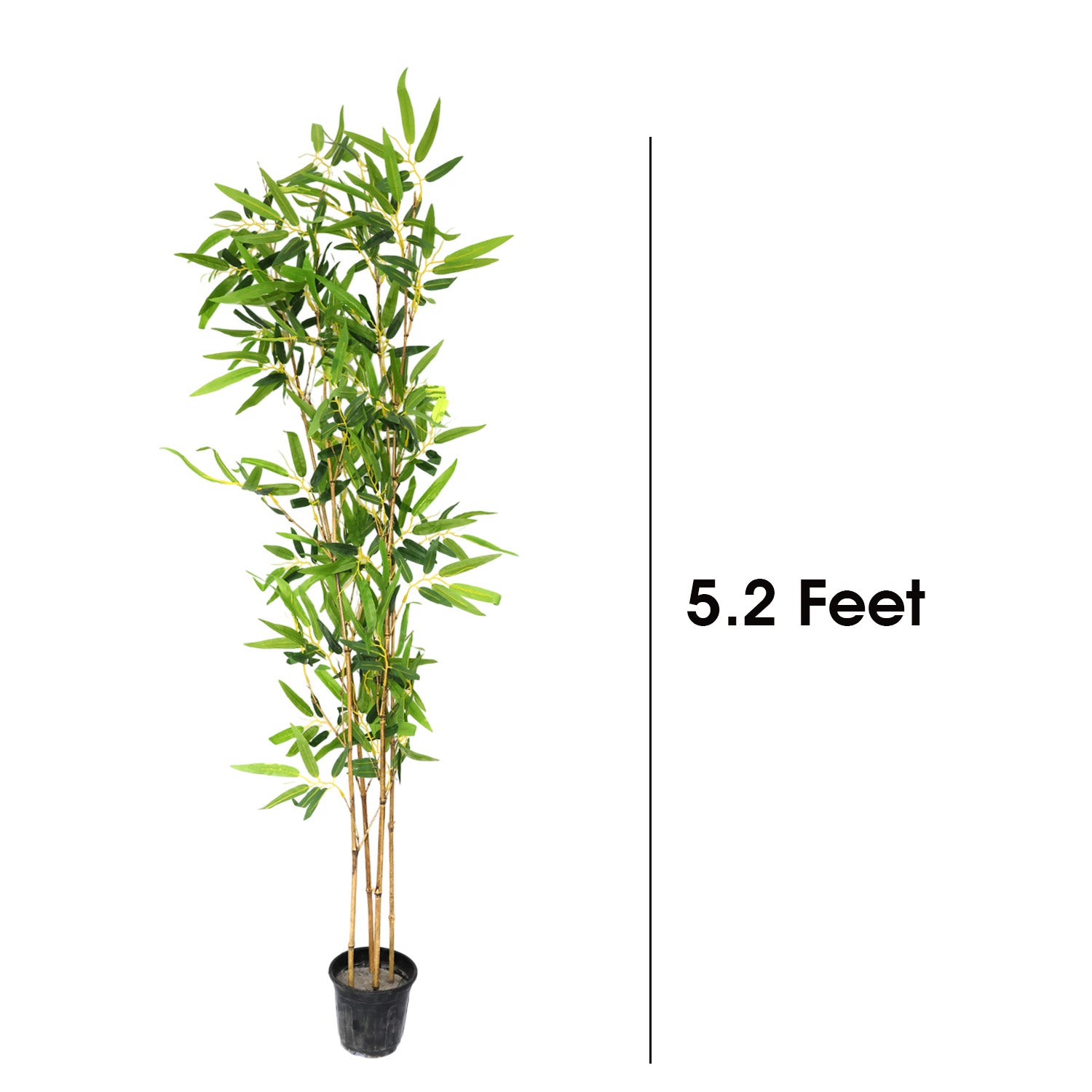 5.2 Feet (156 CM) Artificial Bamboo Plant for Indoor and Outdoor, Home, Shop, Office, Restaurant Decoration Dark Green (Pack of 1)