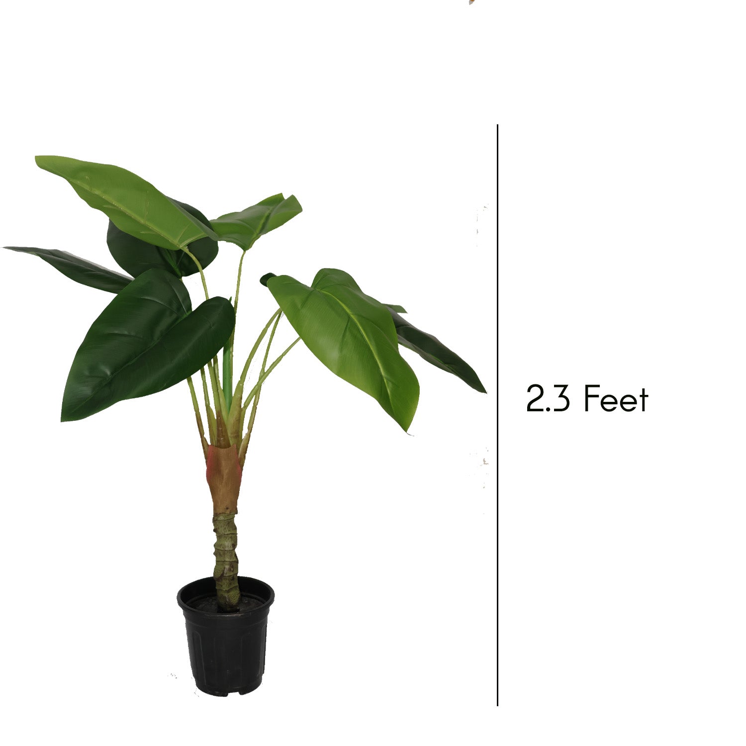 2.3 Feet (70 CM) Artificial Bamboo Plant for Indoor and Outdoor, Home, Shop, Office, Restaurant Decoration Dark Green (Pack of 1)