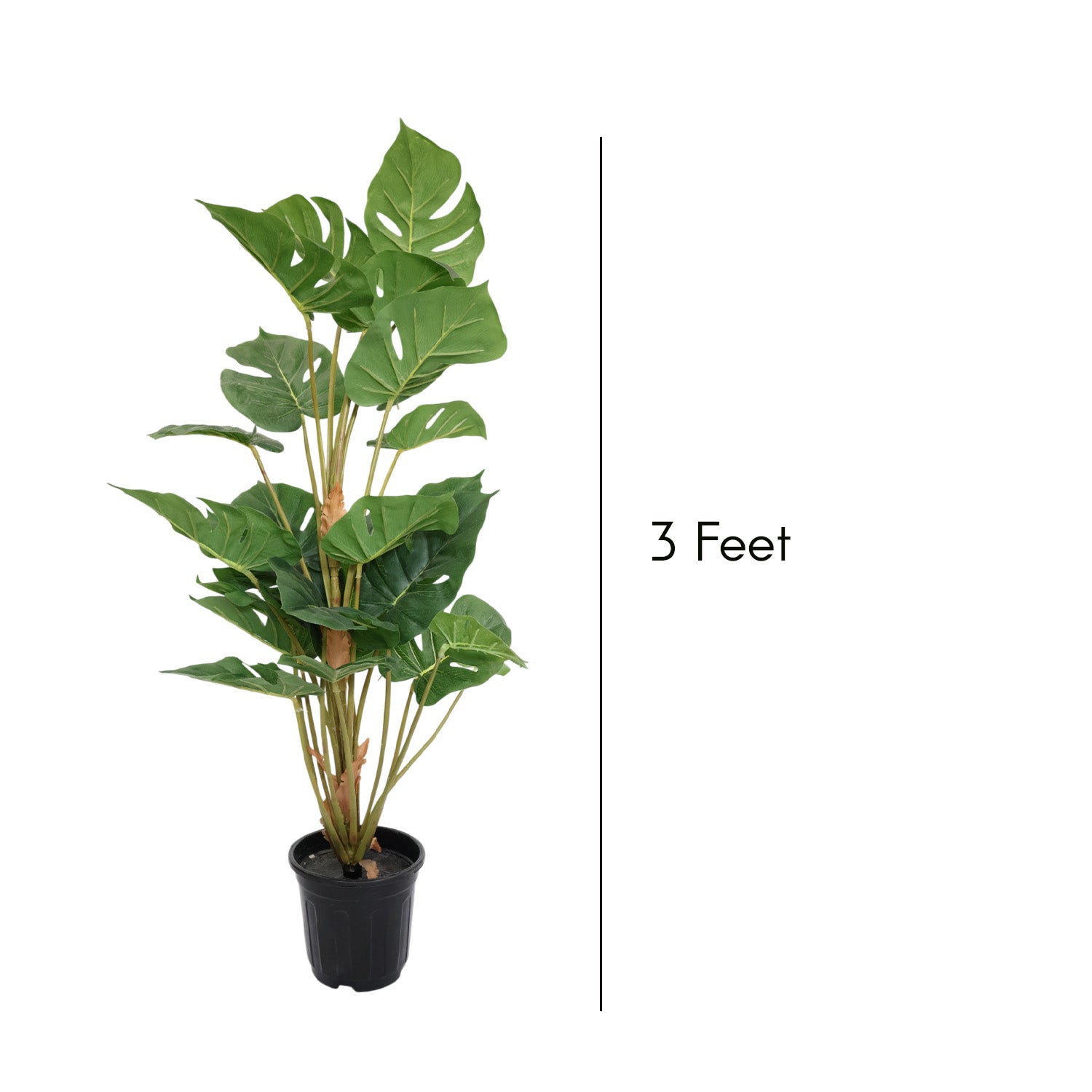 3 Feet (90 CM) Artificial Plant for Indoor and Outdoor, Home, Shop, Office, Restaurant Decoration Dark Green (Pack of 1)