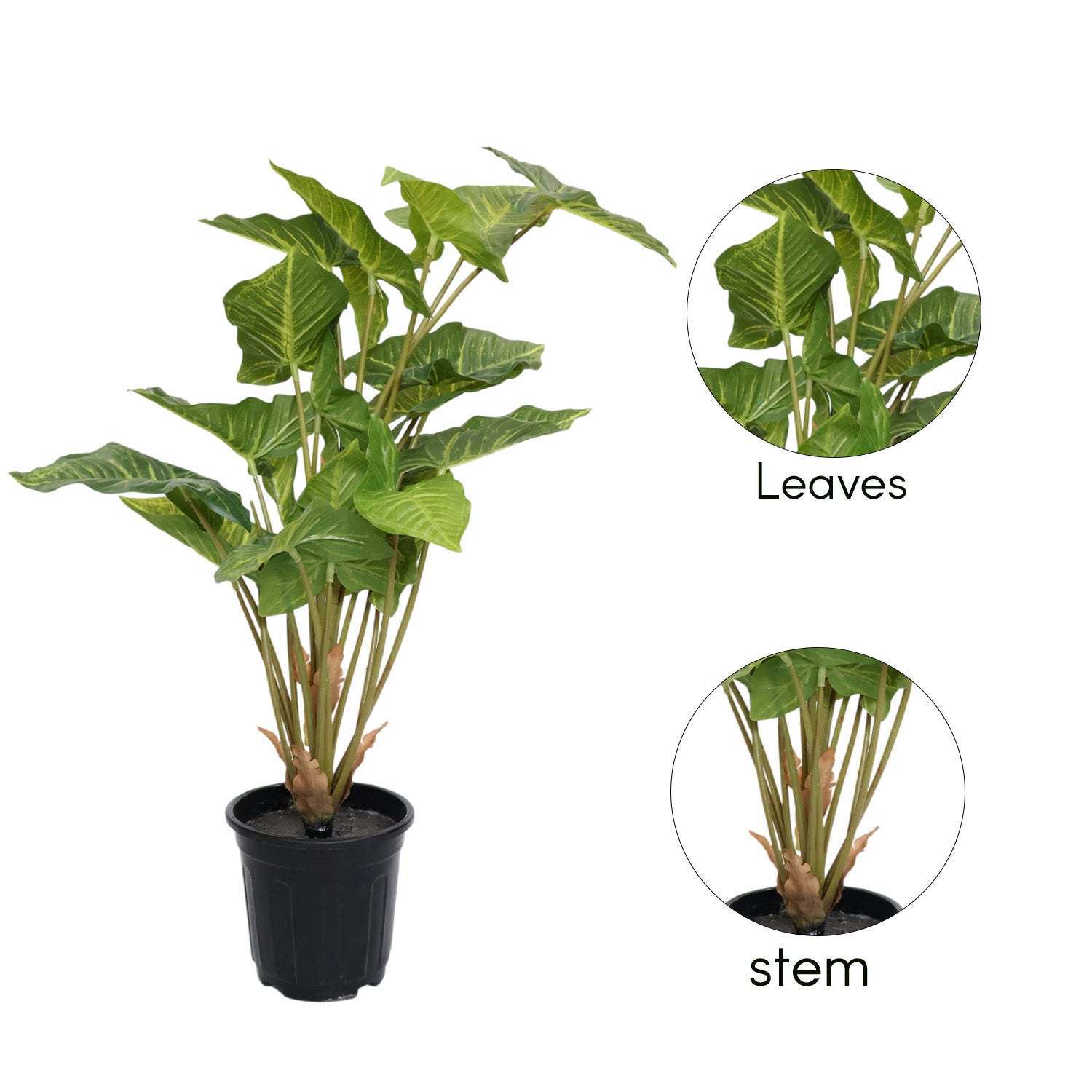 2.5 Feet (75 CM) Artificial Plant for Indoor and Outdoor, Home, Shop, Office, Restaurant Decoration Dark Green (Pack of 1)