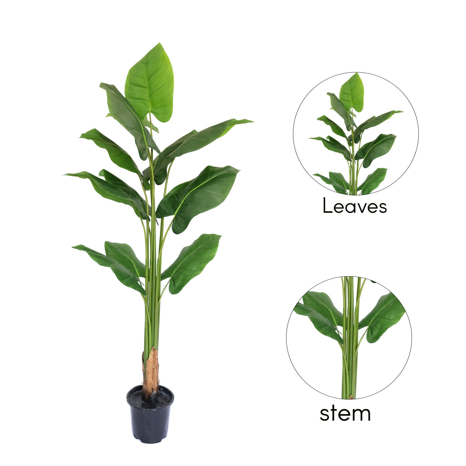 5.7 Feet (170 CM) Artificial Plant for Indoor and Outdoor, Home, Shop, Office, Restaurant Decoration Dark Green (Pack of 1)