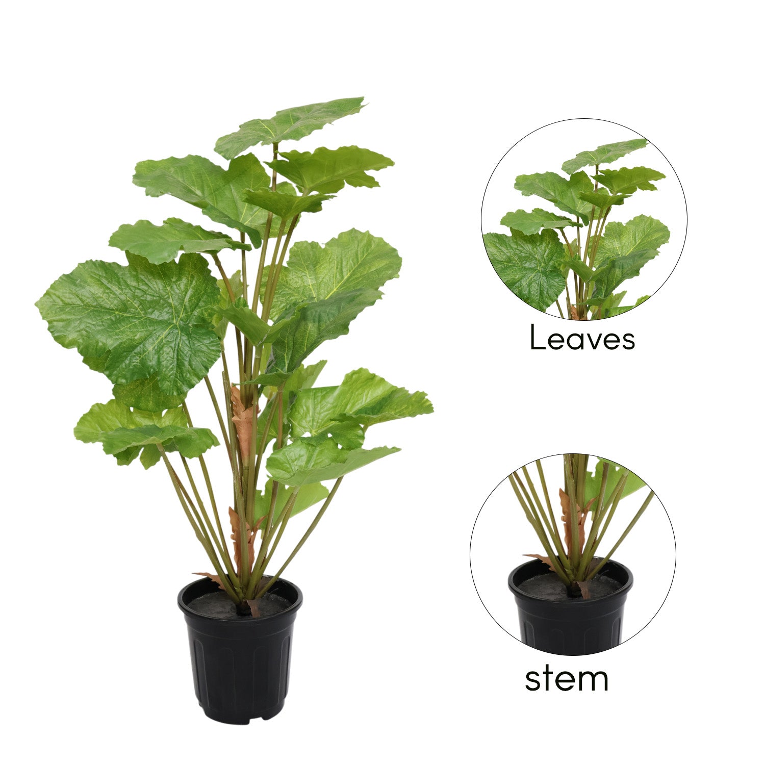 2.5 Feet (75 CM) Artificial Plant for Indoor and Outdoor, Home, Shop, Office, Restaurant Decoration Dark Green (Pack of 1)