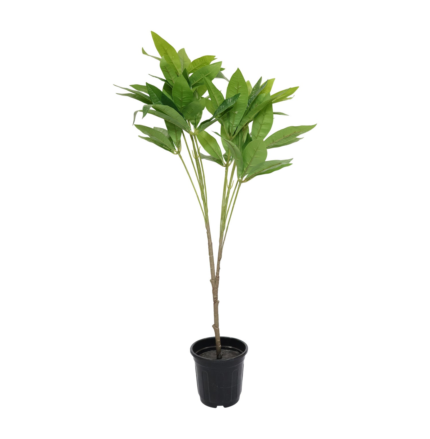 3.2 Feet (96 CM) Artificial Plant for Indoor and Outdoor, Home, Shop, Office, Restaurant Decoration Dark Green (Pack of 1)