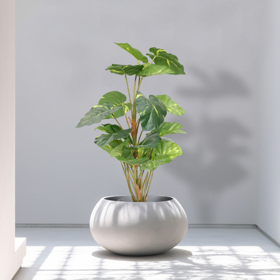 3 Feet (90 CM) Artificial Plant for Indoor and Outdoor, Home, Shop, Office, Restaurant Decoration Dark Green (Pack of 1)