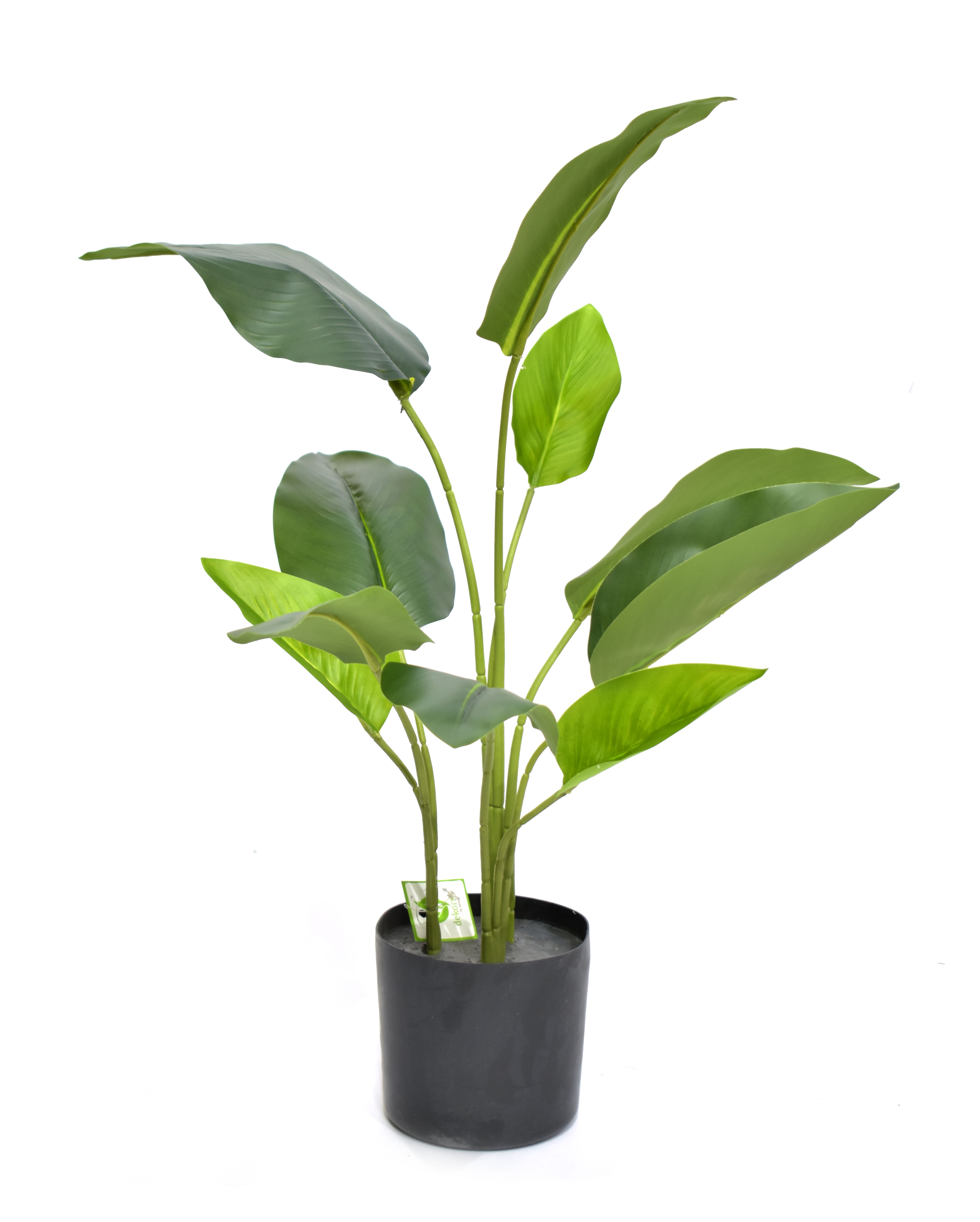 Artificial Readymade Plants with basic Black pot